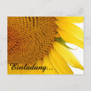 Sunflowers Postcard