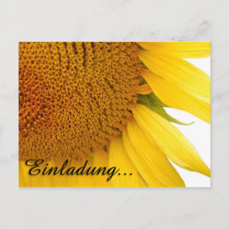 Sunflowers Postcard