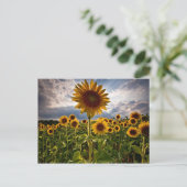 Sunflowers Postcard (Standing Front)