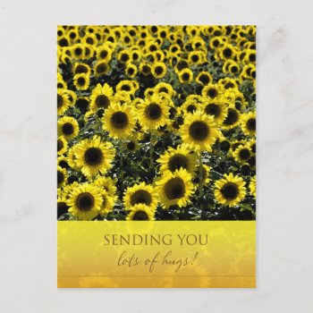 Sunflowers Postcard / Sending You Lots Of Hugs by SueshineStudio at Zazzle