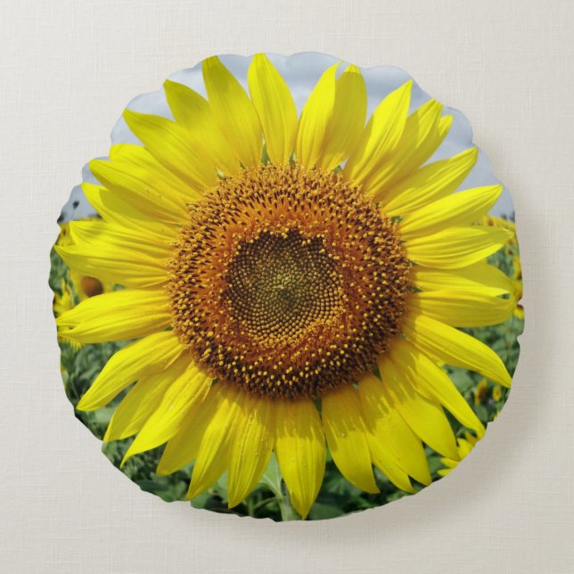 SunFlowers Round Pillow (Front)