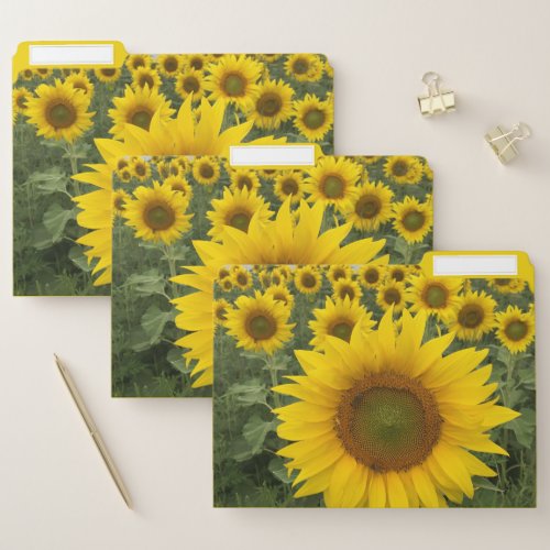 Sunflowers Rustic Country Photo File Folder