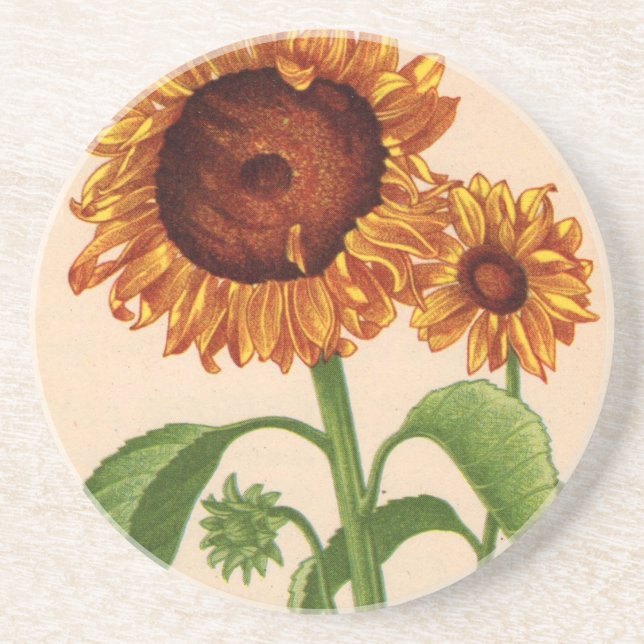 sunflowers sandstone coaster (Front)
