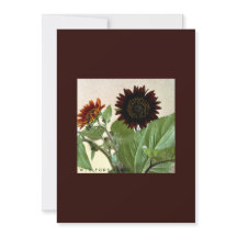 Sunflowers small note card for handwritten