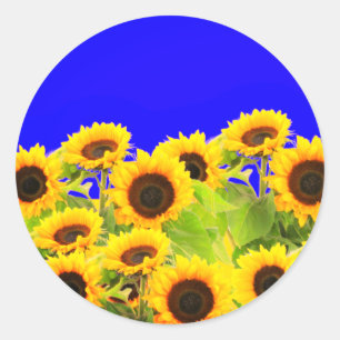 Sunflowers Stickers Ukrainian Flag Colors Freedom