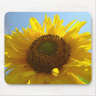 SUNFLOWERS, SUN FLOWERS MOUSE PADS MOUSEPAD
