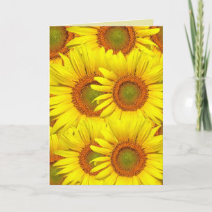 SUNFLOWERS SUNFLOWER BIRTHDAY CARDS