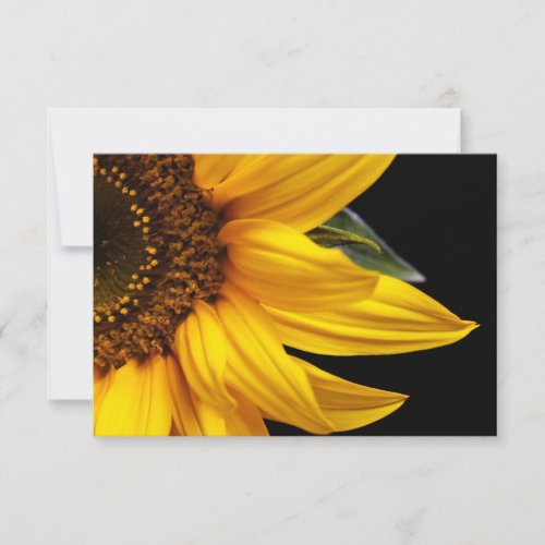 Sunflowers - Sunflower Customized Template Blank Invites
