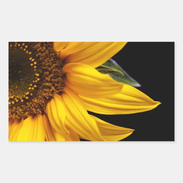 Sunflowers - Sunflower Customized Template Blank Rectangular Sticker (Front)