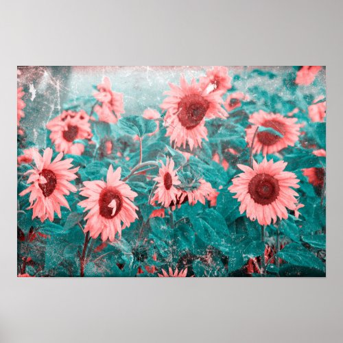 Sunflowers Teal Pink Floral Vintage Grunge Texture Poster