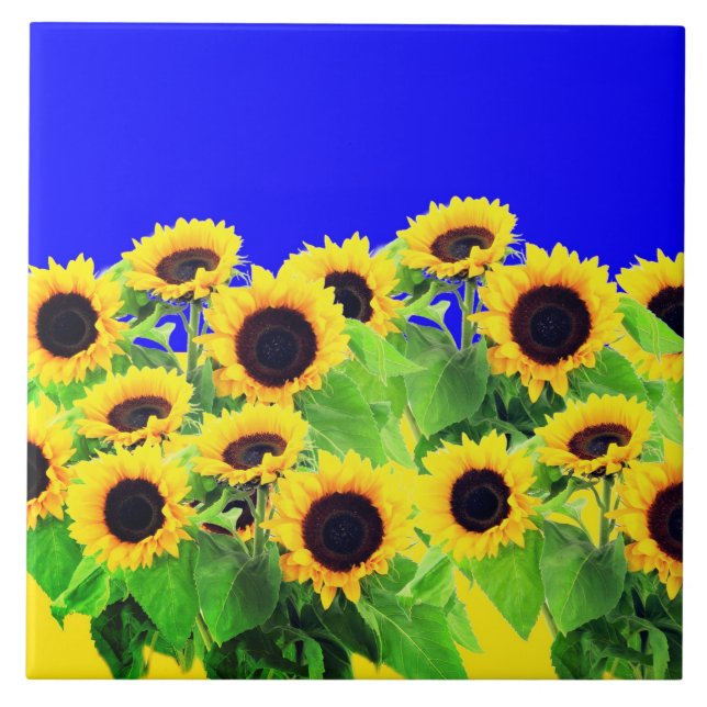 Sunflowers Tile Ukrainian Flag Colors (Front)