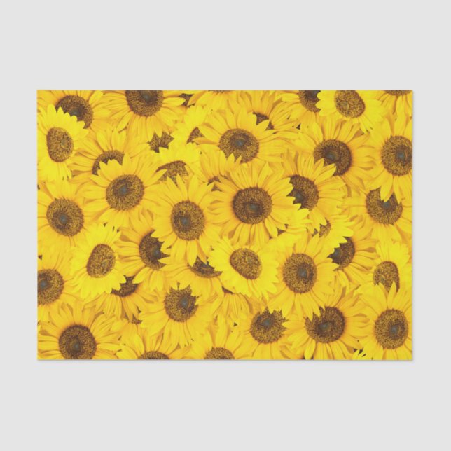 Sunflowers Tissue Paper (Front)