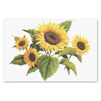 Sunflowers Tissue Paper by KraftyKays at Zazzle