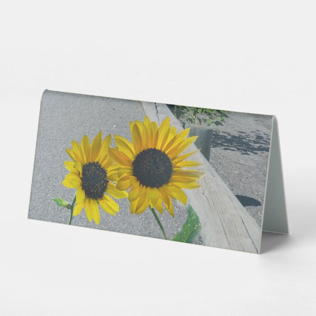 Sunflowers together at wedding reception table tent (Front)