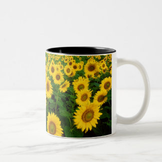 Sunflowers Two-Tone Coffee Mug