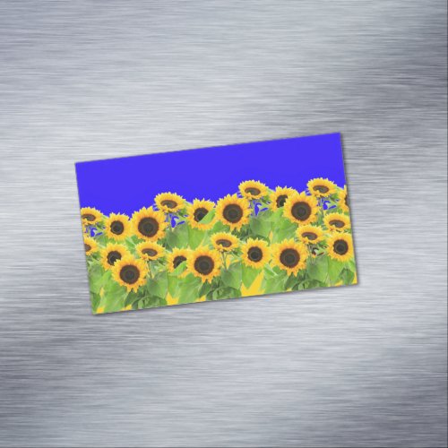 Sunflowers Ukrainian Flag Colors Support Ukraine Business Card Magnet