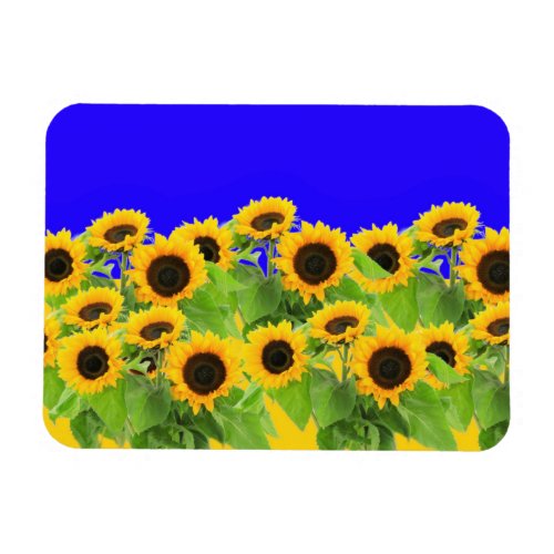 Sunflowers _ Ukrainian Flag Peace Freedom Ukraine  Magnet