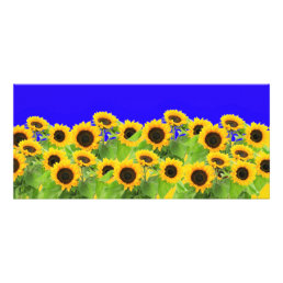 Sunflowers - Ukrainian Flag Peace Freedom Ukraine  Rack Card