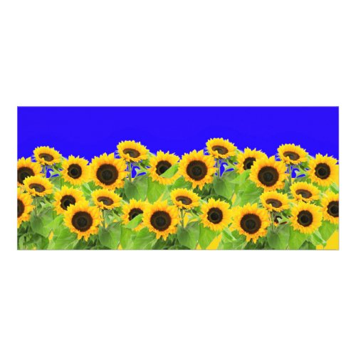 Sunflowers _ Ukrainian Flag Peace Freedom Ukraine  Rack Card