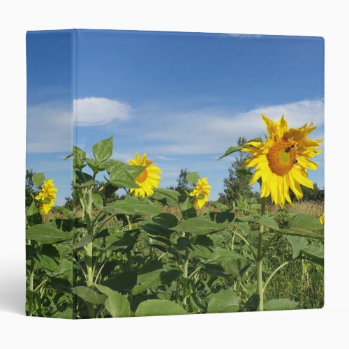 Sunflowers under bluesky 3 ring binder
