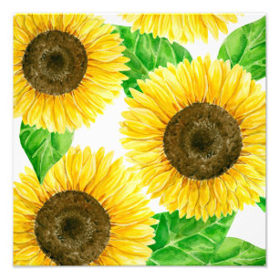 Sunflowers watercolor photo print