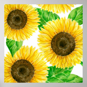 Sunflowers watercolor poster