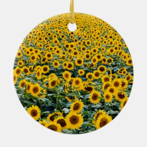 Sunflowers Wisconsin field Ceramic Ornament