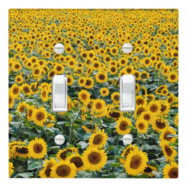 Sunflowers, Wisconsin field Light Switch Cover (In Situ)