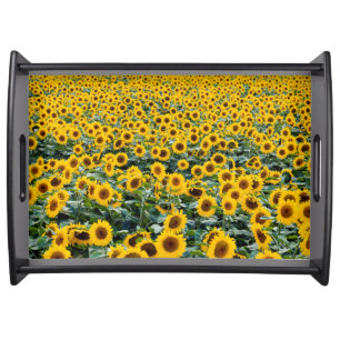 Sunflowers, Wisconsin field Serving Tray