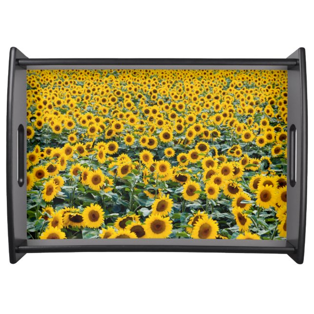 Sunflowers, Wisconsin field Serving Tray (Front)