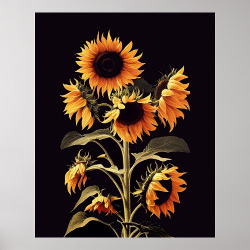 SUNFLOWERS WITH GREEN LEAVES IN BLACK POSTER