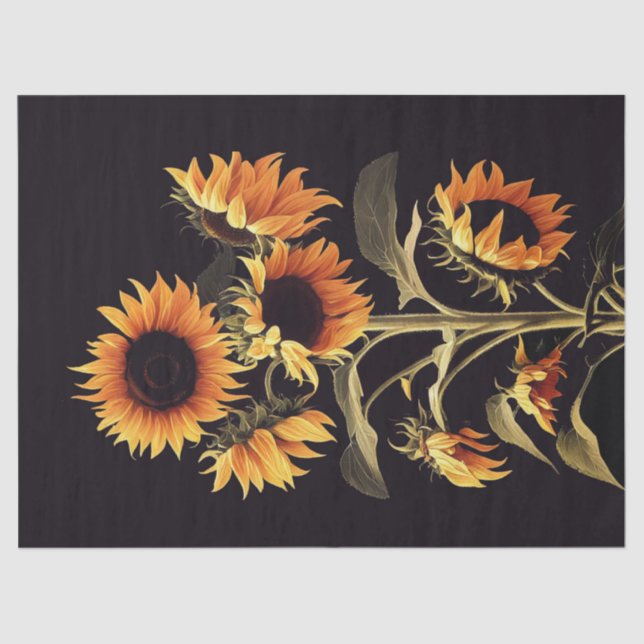 SUNFLOWERS WITH GREEN LEAVES IN BLACK  TISSUE PAPER (Front)