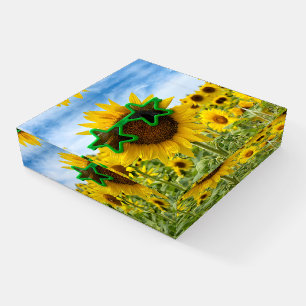 Sunflowers With Star Sunglasses Paperweight