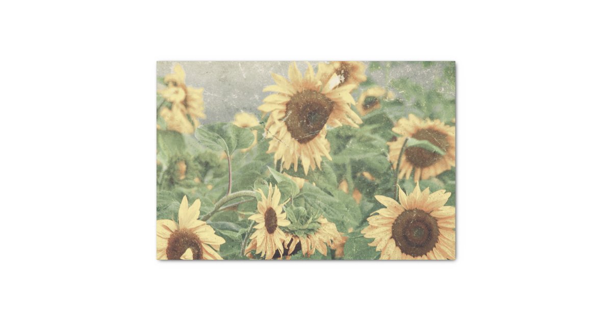 Sunflowers Yellow Decoupage Art Decorative Floral Tissue Paper | Zazzle