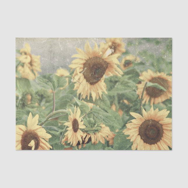 Sunflowers Yellow Decoupage Art Decorative Floral Tissue Paper (Front)