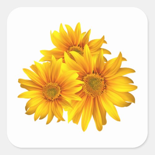 Sunflowers Yellow Floral Country Summer Wedding  Square Sticker