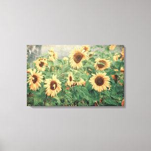 Sunflowers Yellow Vintage Texture Floral Art Canvas Print
