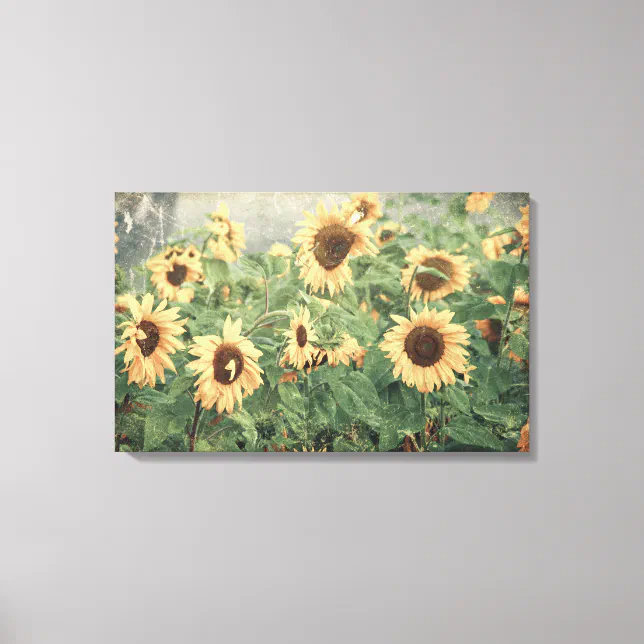 Sunflowers Yellow Vintage Texture Floral Art Canvas Print | Zazzle