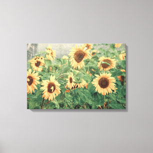 Sunflowers Yellow Vintage Texture Floral Art Canvas Print