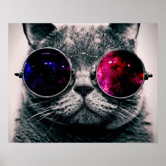 sunglasses_cat_poster r72e8eac2027d421abd0872bf0bd0e541_wv3_8byvr_540