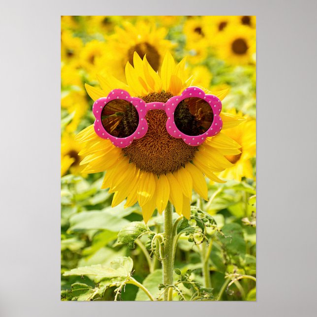 Sunglasses On Sunflower Poster (Front)