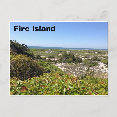 Sunken Forrest Fire Island NY Postcard