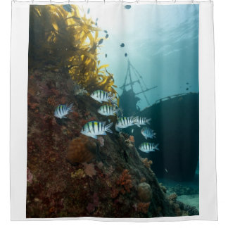 Sunken ship hidden by the reef, school of fish shower curtain
