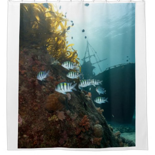 Sunken ship hidden by the reef school of fish shower curtain