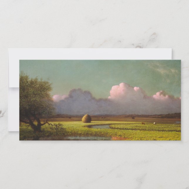 Sunlight and Shadow: The Newbury Marshes Card (Front)