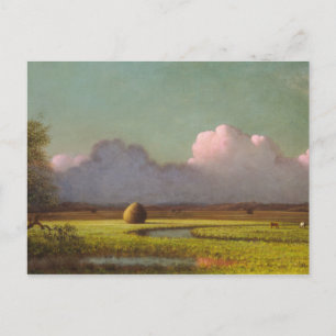 Sunlight and Shadow, The Newbury Marshes Postcard