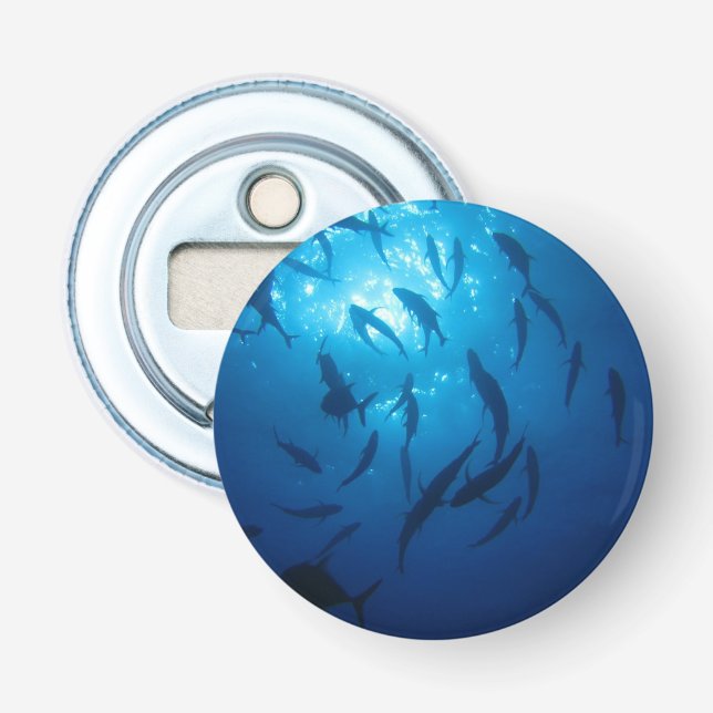 Sunlight and Shoal Under the Sea Bottle Opener (Front)