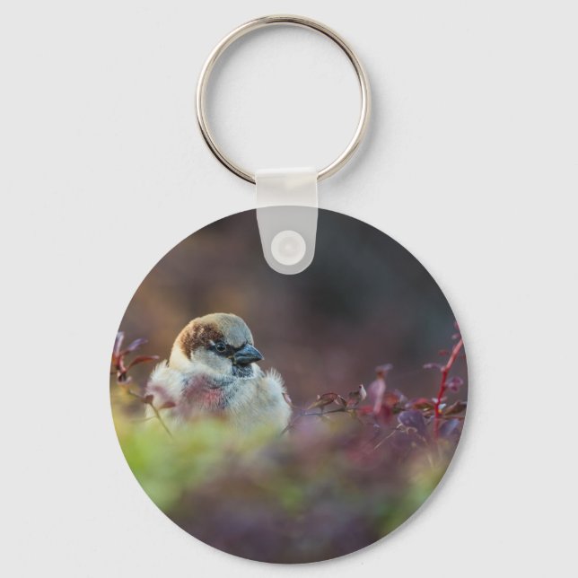 Sunlight Bathing Finch Keychain (Front)
