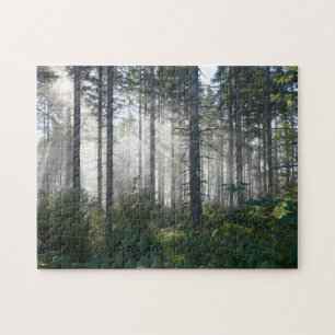 Sunlight Breaking Through a Misty Forest Jigsaw Puzzle