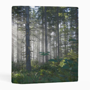 Sunlight Breaking Through a Misty Forest Mini Binder